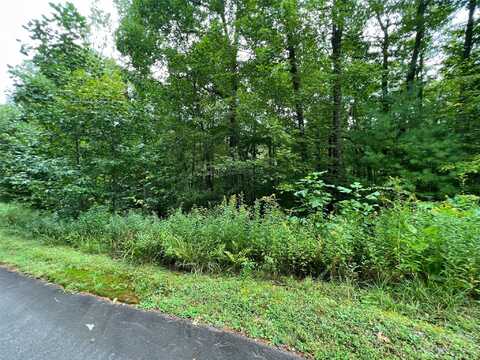 103 Laurel Thicket Lane, Brevard, NC 28712