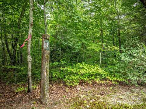 Meadow Ridge Drive lot: 14, Lake Toxaway, NC 28747