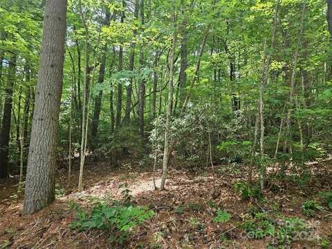000 Hawk Mountain Road, Lake Toxaway, NC 28747