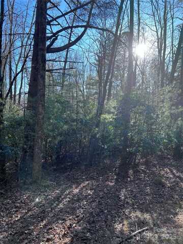 L26 Konnaneeta Trail, Brevard, NC 28712