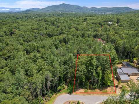 323 Flowering Vine Court, Asheville, NC 28803