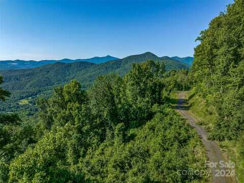 9999-28 Lovebird Lane, Canton, NC 28716