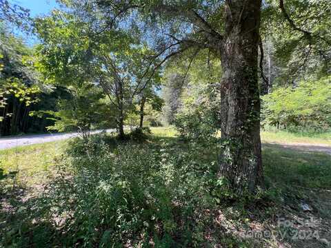 574 Frozen Creek Road, Brevard, NC 28712