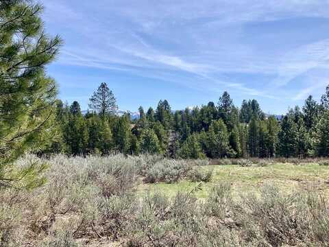 269 Moon Drive, McCall, ID 83638