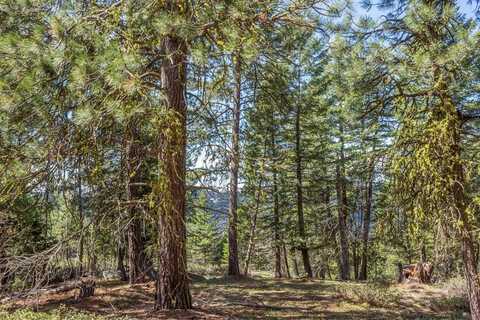161 Little Donner Drive, Cascade, ID 83611