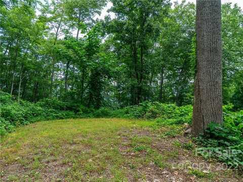 45 Flora Rose Trail, Asheville, NC 28803