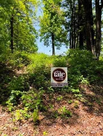 7 Narrows Court, Columbus, NC 28722