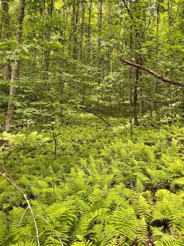 25 Rainbow Trout Drive, Tuckasegee, NC 28783