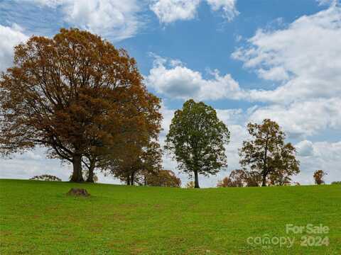 207 Soapstone Trail, Mills River, NC 28759