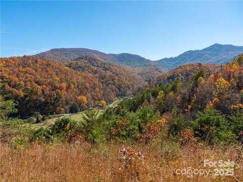 99999 Turkey Creek Road unit: 1 & 2, Leicester, NC 28748
