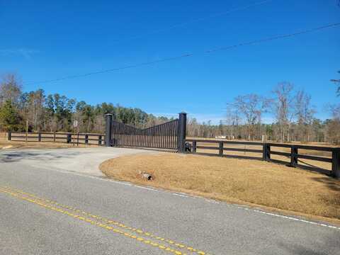 0 Rice Gate Road, Walterboro, SC 29488