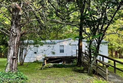 86 Pleasant Hill Road, Mount Olive, MS 39119