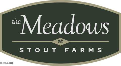 Stout Meadows Lane, Madison, MS 39110