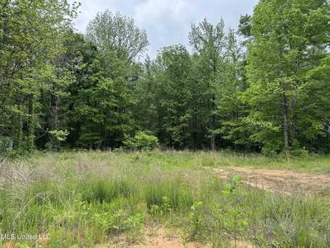 0 Hubbard Road, Holly Springs, MS 38635