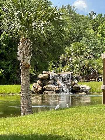 210 725th St, Steinhatchee, FL 32359