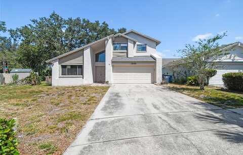 16169 GARDENDALE DRIVE, TAMPA, FL 33624