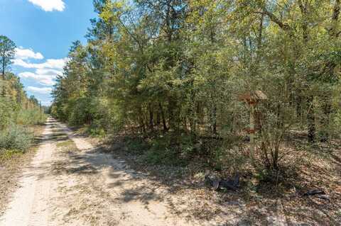 10 +/- Ac Wildwood Lakes Drive, DeFuniak Springs, FL 32435