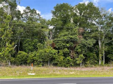 US HWY 19, CHIEFLAND, FL 32626