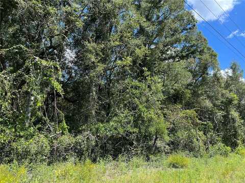 US HWY 19, CHIEFLAND, FL 32626