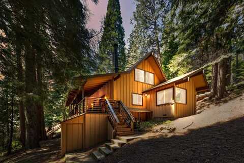 1167 Silver Tip Ln, Fish Camp, CA 93623