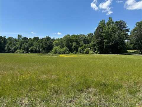 0 Pea Ridge Road, New Hill, NC 27562