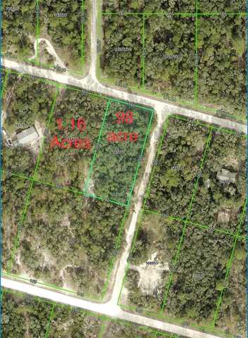 FORGE / TEAKWOOD DRIVE, WEBSTER, FL 33597