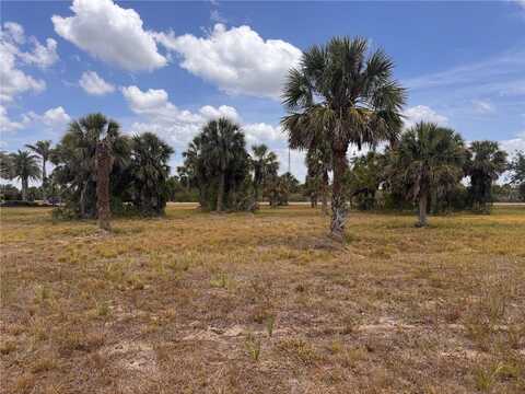 16 REDBUD COURT, PLACIDA, FL 33946