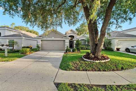 5520 TERRAIN DE GOLF DRIVE, LUTZ, FL 33558