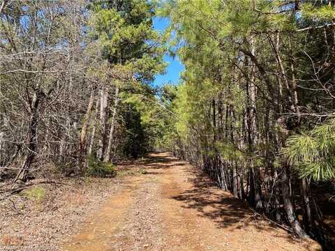 TBD Lot 9 W Hartford RD, Hartford, AR 72938