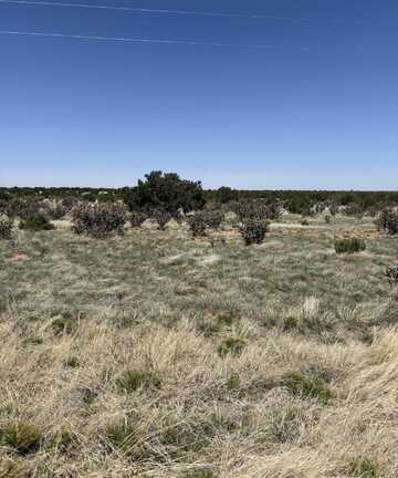 47 Lost Saddle Loop, Santa Rosa, NM 88435