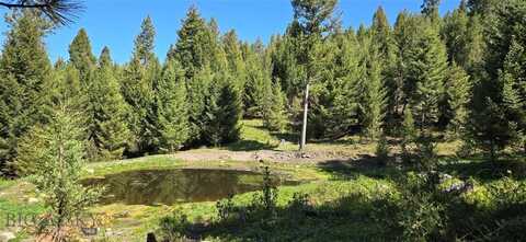 4 Tract, Bull Elk, Drummond, MT 59832