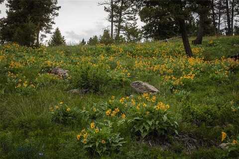 5 Tract, Bull Elk, Drummond, MT 59823