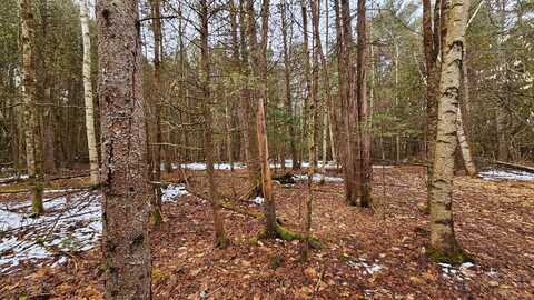 Lot 8 Murray Road, Newport, ME 04953