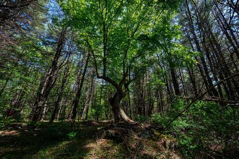 Lot 8 Murray Road, Newport, ME 04953