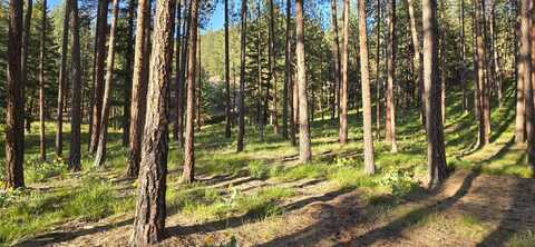 NHN Profile Rock, Alberton, MT 59820