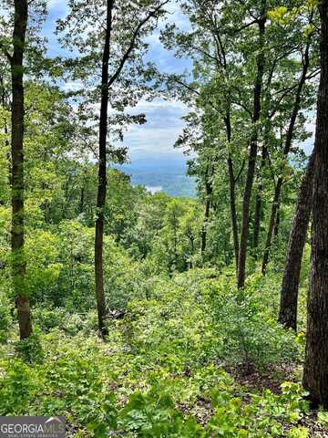Lot 103 Highland Park, Blairsville, GA 30512