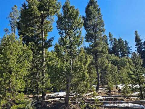 Nhn Elk Horn Road, Helmville, MT 59843