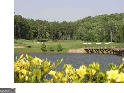 110 Hawks Club, Ball Ground, GA 30107