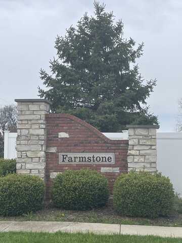 1170 Farmstone Drive, Coal City, IL 60416