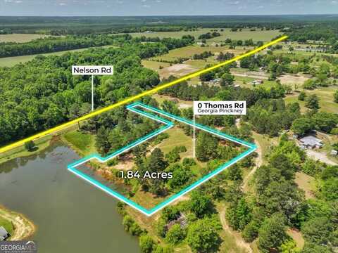 0 Thomas, Reynolds, GA 31076