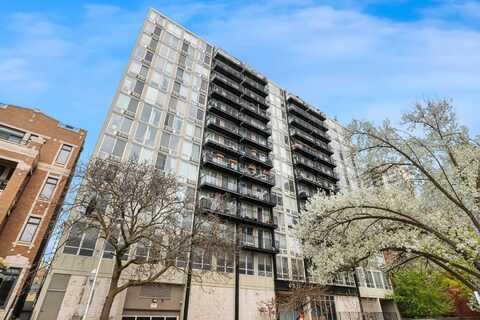 450 W Briar Place, Chicago, IL 60657