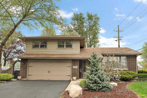 17059 Odell Avenue, Tinley Park, IL 60477