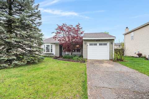 217 N Lancaster Drive, Bolingbrook, IL 60440
