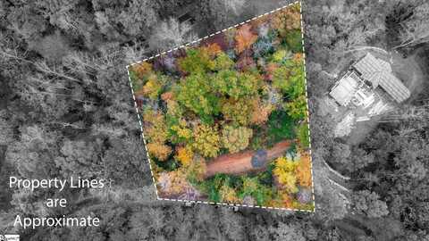 524 Caledonia Loop, Landrum, SC 29356