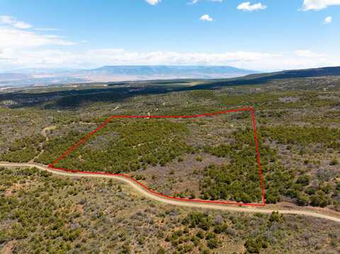 Lot 16 Elk Reserve Road, Glade Park, CO 81523