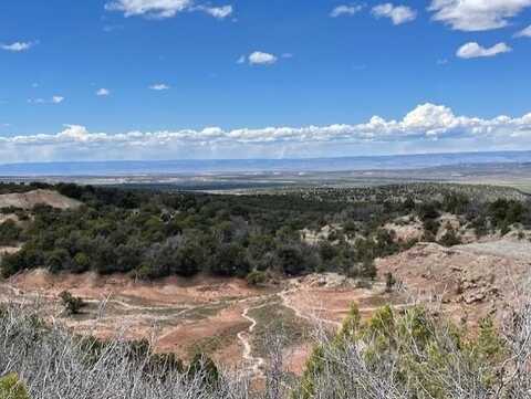 Lots 4,5,& 6 Elk Ranch Road, Glade Park, CO 81523