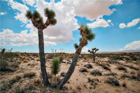 0 Easton Road, Landers, CA 92285