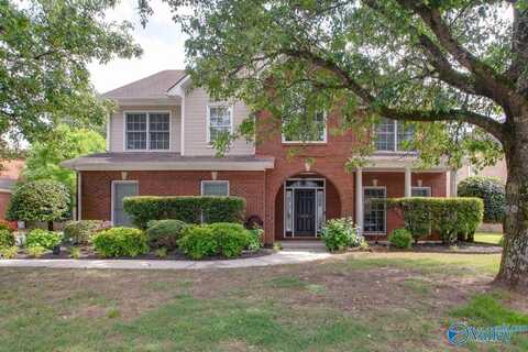 206 Cheval Circle SE, Brownsboro, AL 35741