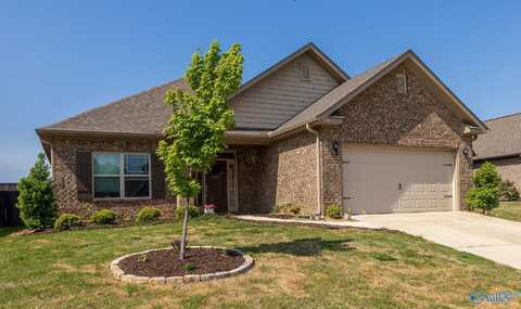104 Saddle Street, New Market, AL 35761