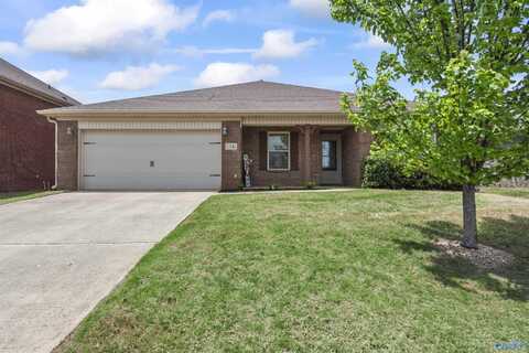 116 Walkers Hill Road, Meridianville, AL 35759